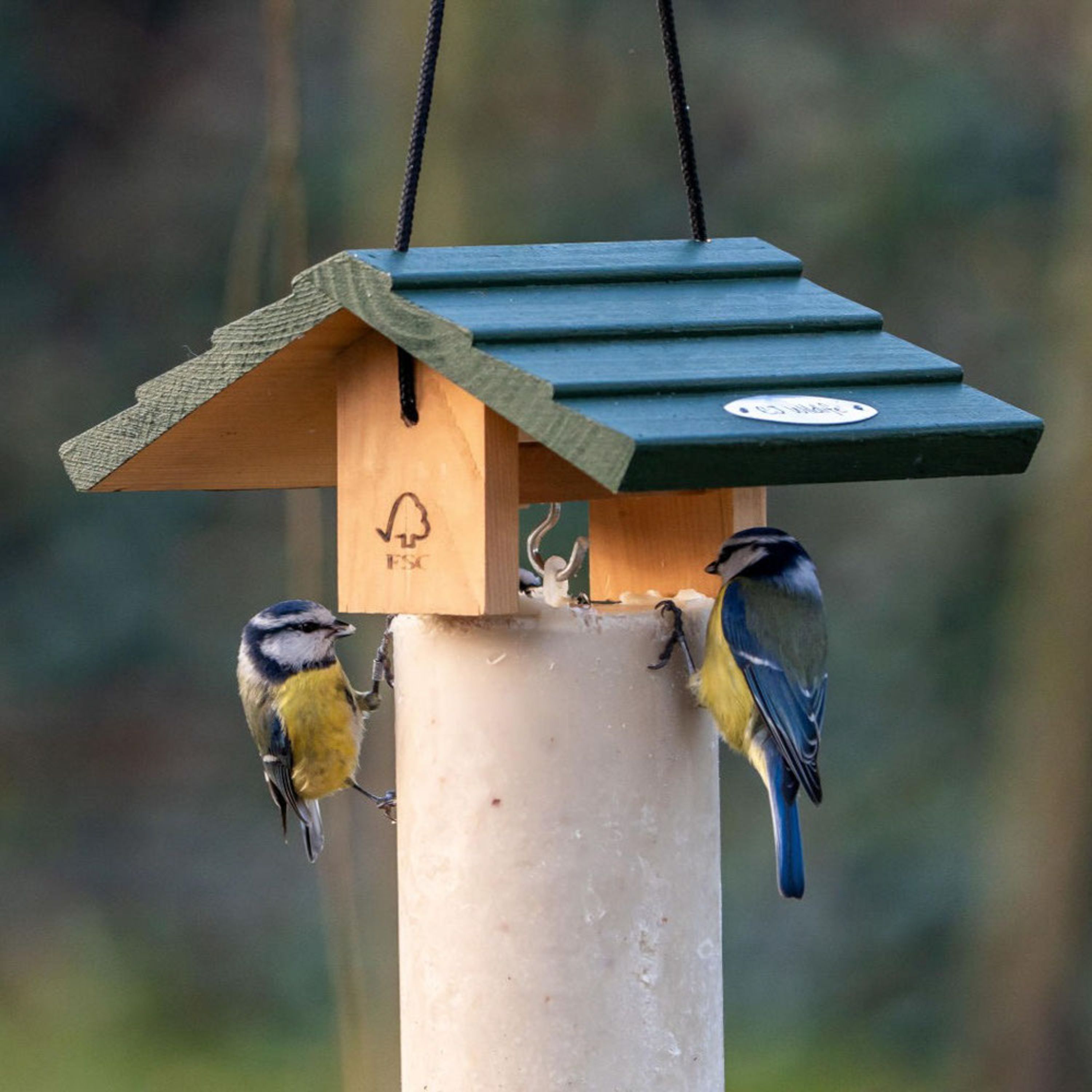 Energiekuchen-Haus Claviere | CJ Wildlife